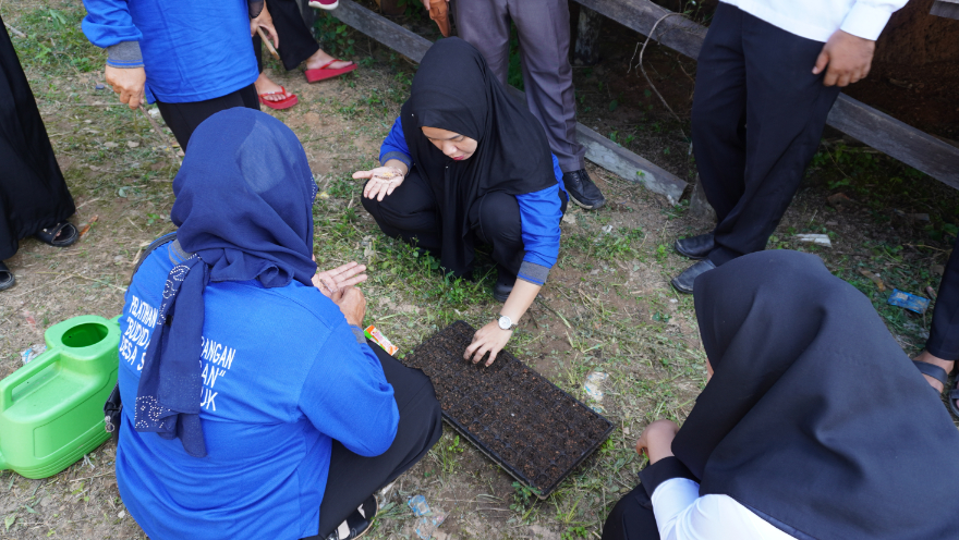 pelatihan_sayur1